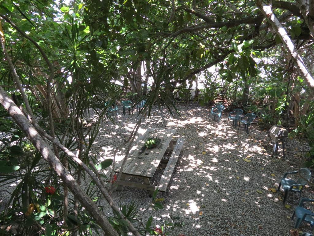 Ed & Ellen'S Lodgings Key Largo Motel Room photo