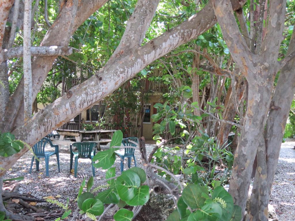 Ed & Ellen'S Lodgings Key Largo Motel Exterior photo