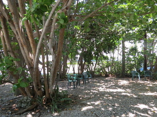 Ed & Ellen'S Lodgings Key Largo Motel Exterior photo